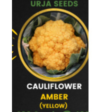Cauliflower Amber 100 seeds